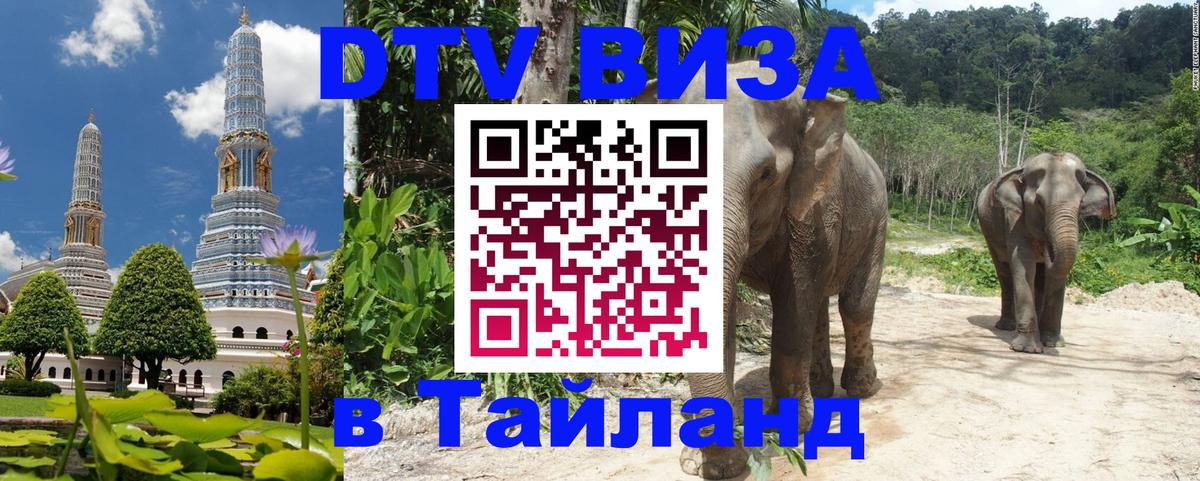 Оформление DTV визы под ключ: стоимость и тарифы, только загранпаспорт - 05.12.2025 